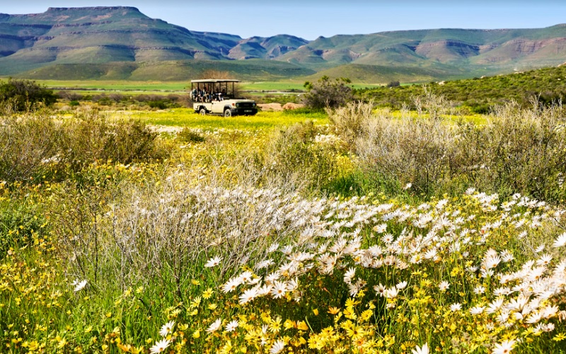 Children Stay Free at Bushmans Kloof